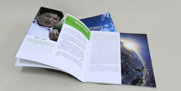 封麵燙金燙銀樣本 藝術紙樣本印刷 內頁藝術紙(圖2) 封麵燙金燙銀樣本 藝術紙樣本印刷 內頁藝術紙(圖2)